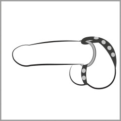 Cock & Ball Ring 510807 4