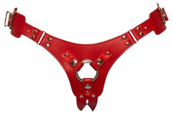 Strap-On Harnas 24934463001 1