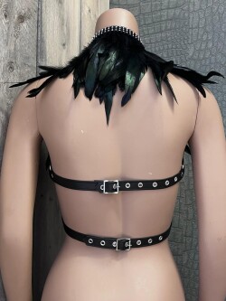 Veren Boa Strass D-Boa 6