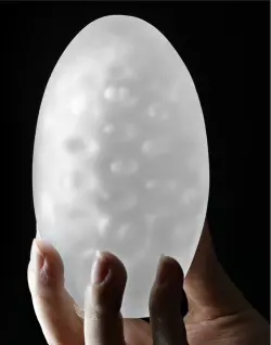 Giant Egg #4518 5