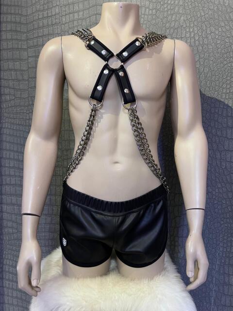 Gladiator Harnas Silver MDN39-zilv