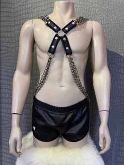 Gladiator Harnas Silver MDN39-zilv 1