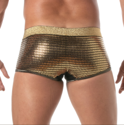 Glitter Boxer TOF507 5