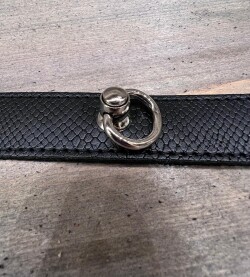 Collar Snake met Aanlijnketting l.u.c.17 4