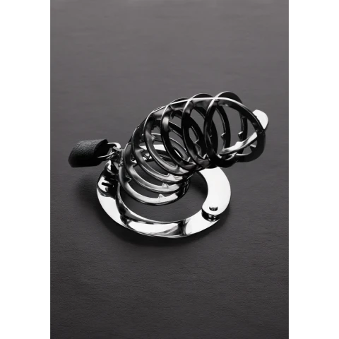 Spiked Chasity Cage TMS-1325